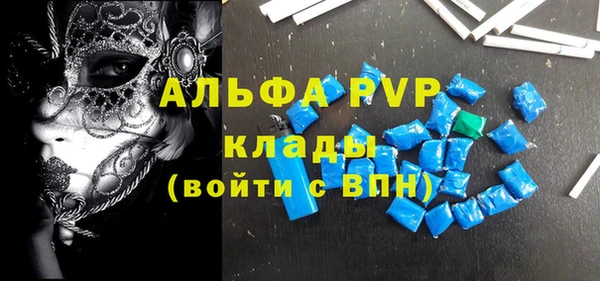 сатива Беломорск