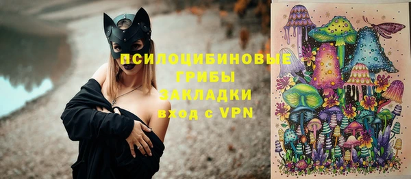 МДПВ Белокуриха