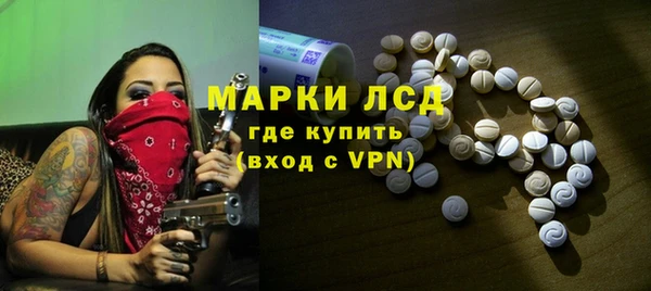 сатива Беломорск